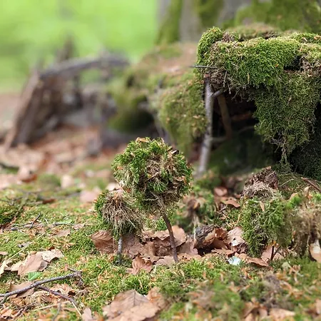 아파트 Muehl - Familienfreundlich, 2 Schlafzimmer, Grosses Grundstueck, Erzgebirge