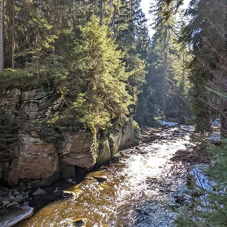 Muehl - Familienfreundlich, 2 Schlafzimmer, Grosses Grundstueck, Erzgebirge
