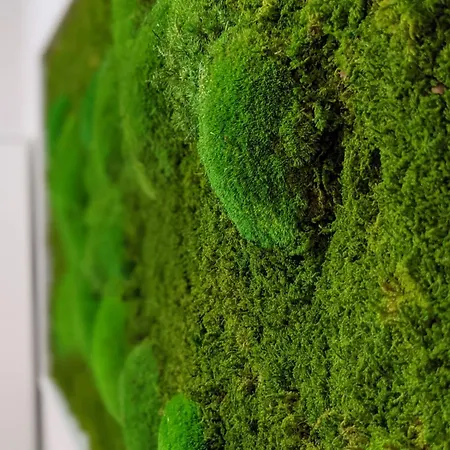 Muehl - Familienfreundlich, 2 Schlafzimmer, Grosses Grundstueck, Erzgebirge