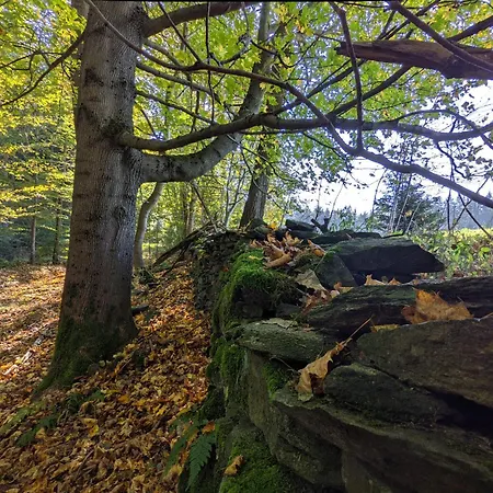 Apartament Muehl - Familienfreundlich, 2 Schlafzimmer, Grosses Grundstueck, Erzgebirge Marienberg