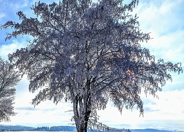 Muehl - Familienfreundlich, 2 Schlafzimmer, Grosses Grundstueck, Erzgebirge Apartment *