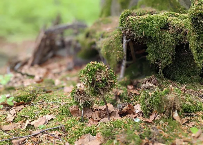 Apartment Muehl - Familienfreundlich, 2 Schlafzimmer, Grosses Grundstueck, Erzgebirge