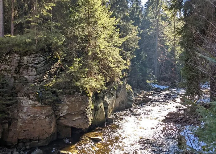 Muehl - Familienfreundlich, 2 Schlafzimmer, Grosses Grundstueck, Erzgebirge