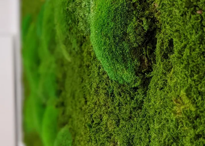 Muehl - Familienfreundlich, 2 Schlafzimmer, Grosses Grundstueck, Erzgebirge