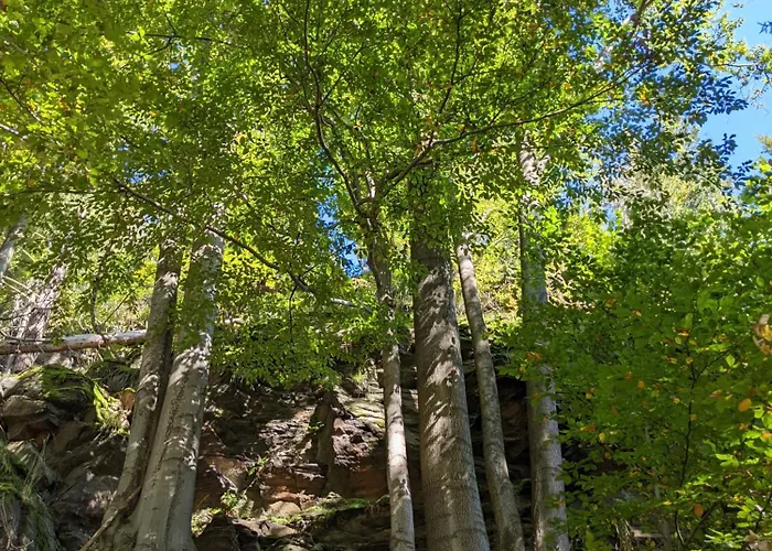 Muehl - Familienfreundlich, 2 Schlafzimmer, Grosses Grundstueck, Erzgebirge Apartment *